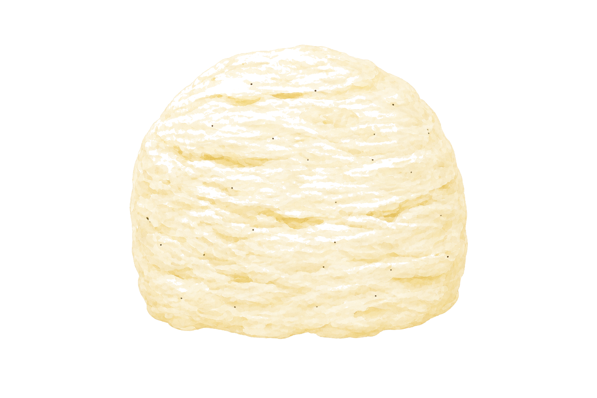 Bourbon Vanille